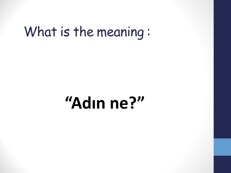What is the meaning : Adın ne