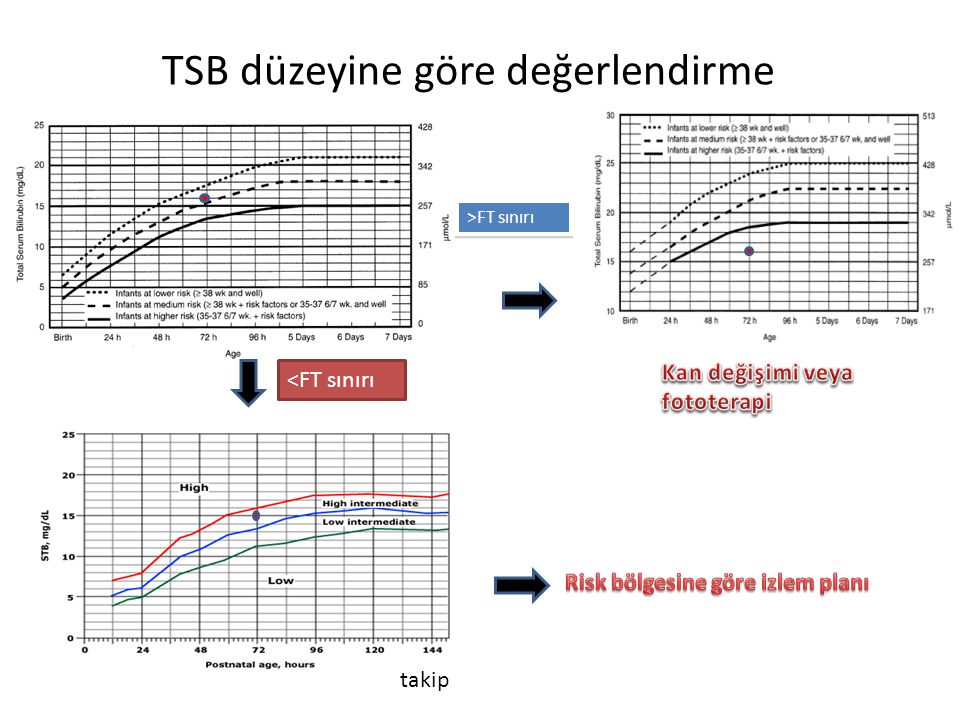 <FT sınırı >FT sınırı TSB düzeyine göre değerlendirme takip