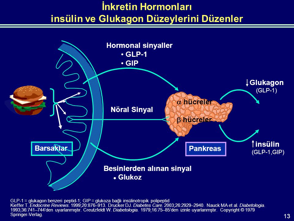 İnkretin Hormonları insülin ve Glukagon Düzeylerini Düzenler GLP-1 = glukagon benzeri peptid-1; GIP = glukoza bağlı insülinotropik polipeptid Kieffer T.