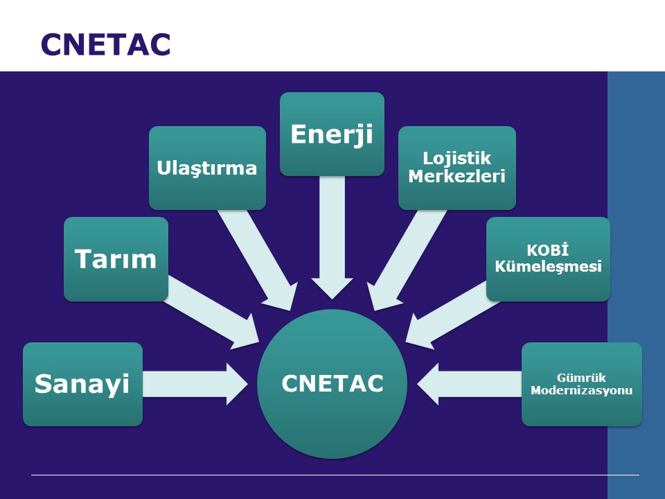 CNETAC SanayiTarım Ulaştırma Enerji Lojistik Merkezleri KOBİ Kümeleşmesi Gümrük Modernizasyonu