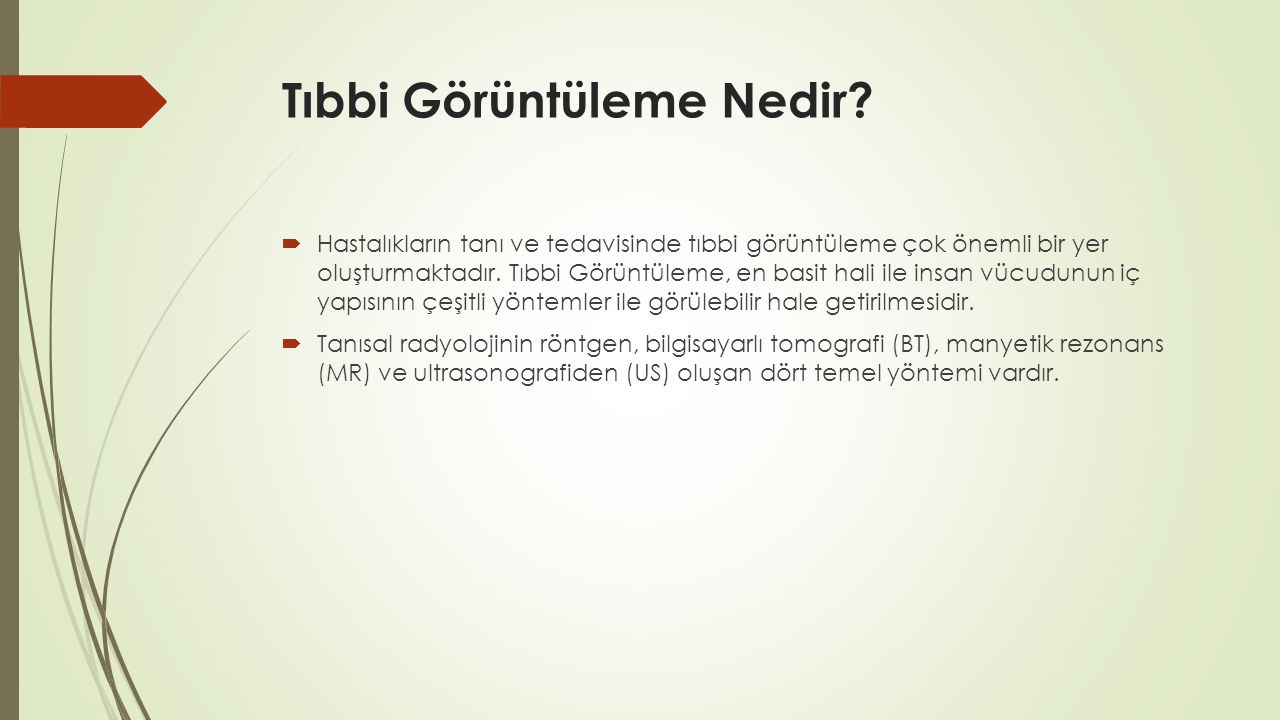 G R Nt Leme Sistemleri Nceleme Ve Geli Tirme Dilara G Ls M Zdemir