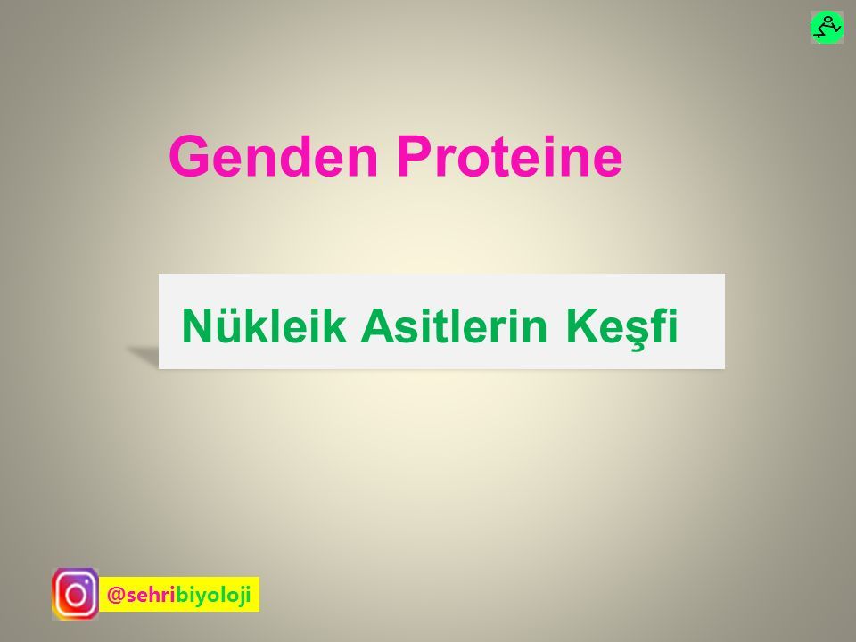 Nükleik Asitlerin Keşfi ppt indir