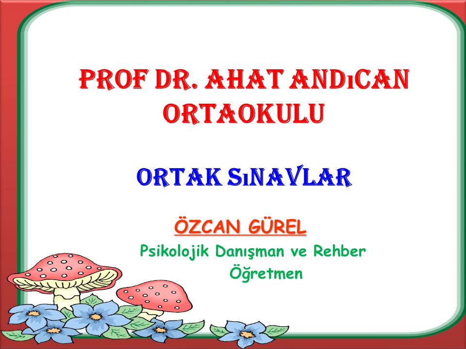 Prof dr.