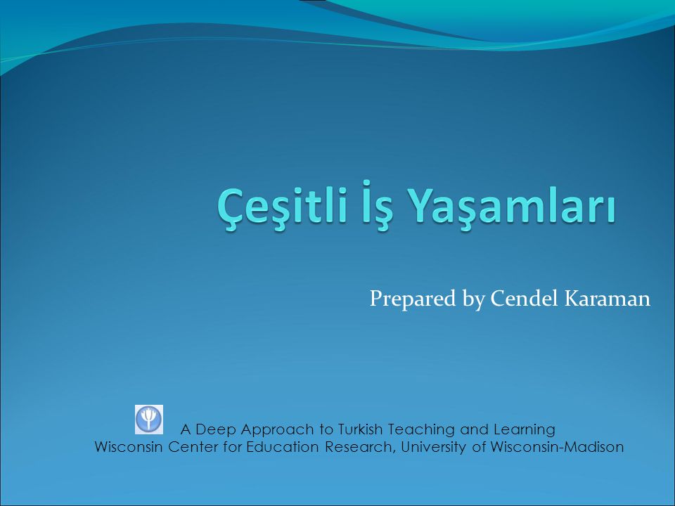 Prepared by Cendel Karaman A Deep Approach to Turkish Teaching and Learning Wisconsin Center for Education Research, University of Wisconsin-Madison