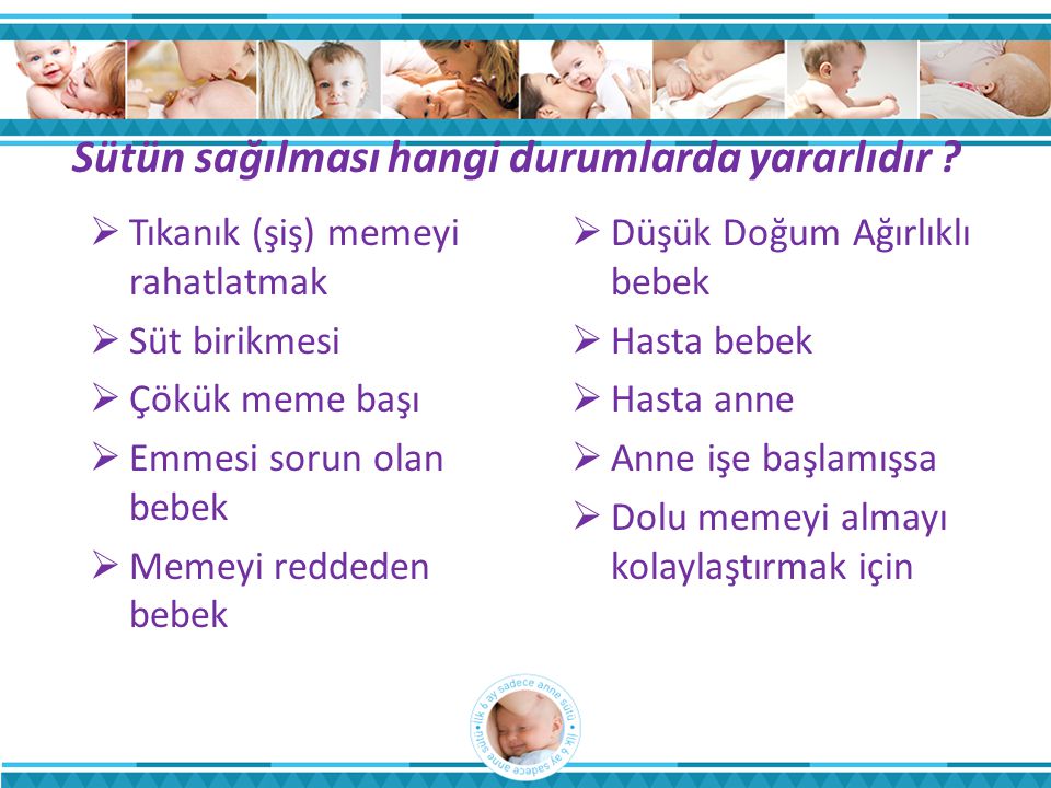 İstatistik ve Bilgi İşlem Daire Başkanlığı Türkiye Halk Sağlığı Kurumu T.C.