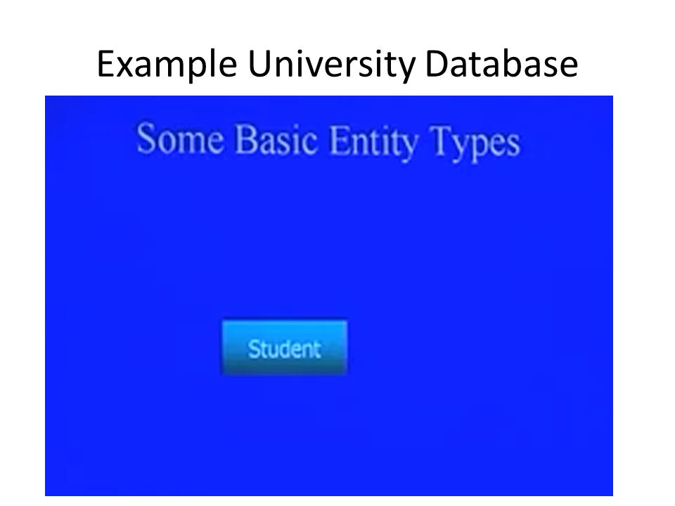 Example University Database