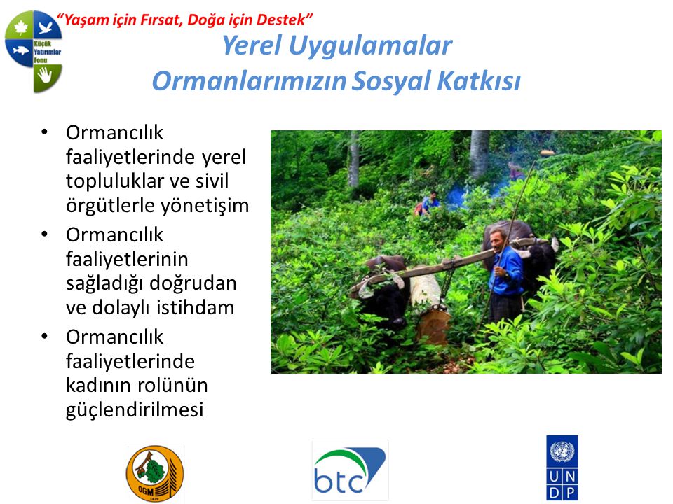 Yerel Uygulamalar Ormanlarımızın Sosyal Katkısı Ormancılık faaliyetlerinde yerel topluluklar ve sivil örgütlerle yönetişim Ormancılık faaliyetlerinin sağladığı doğrudan ve dolaylı istihdam Ormancılık faaliyetlerinde kadının rolünün güçlendirilmesi