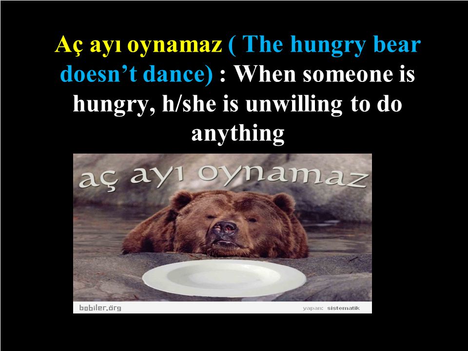 Aç ayı oynamaz ( The hungry bear doesn’t dance) : When someone is hungry, h/she is unwilling to do anything 2/29