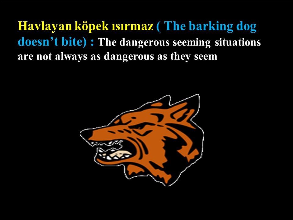 Havlayan köpek ısırmaz ( The barking dog doesn’t bite) : The dangerous seeming situations are not always as dangerous as they seem 6/29