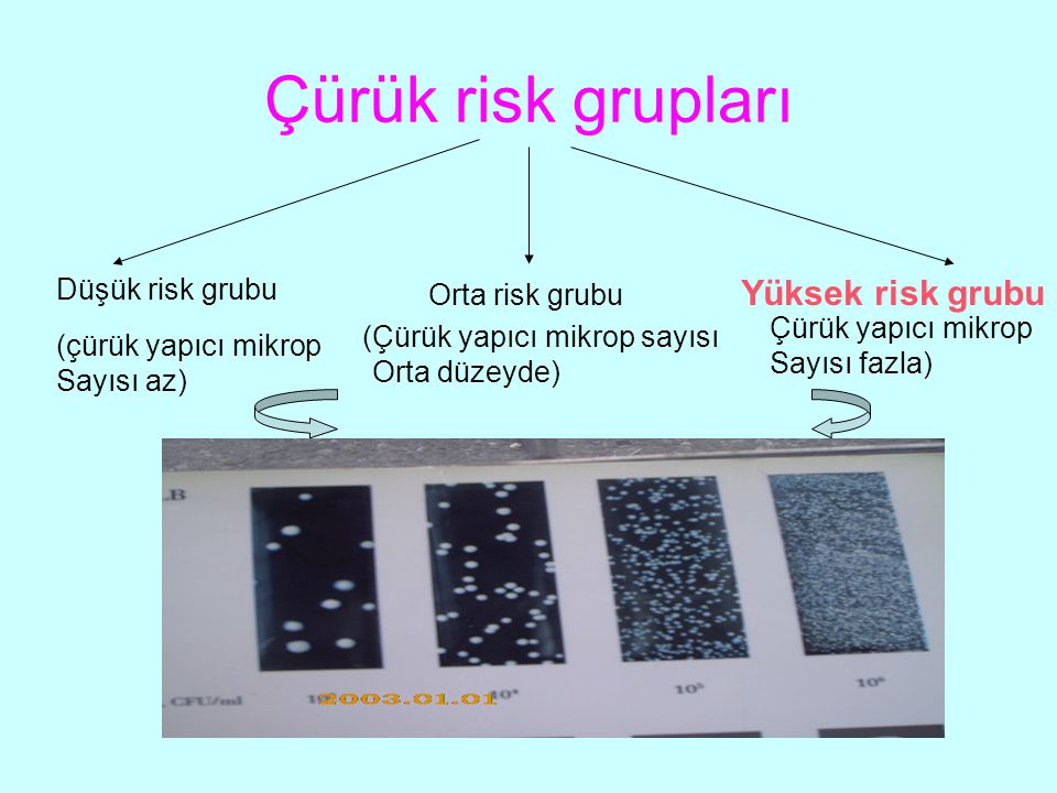 Çürük risk grupları Düşük risk grubu Orta risk grubu Yüksek risk grubu (çürük yapıcı mikrop Sayısı az) Çürük yapıcı mikrop sayısı Orta düzeyde) ( Çürük yapıcı mikrop Sayısı fazla)