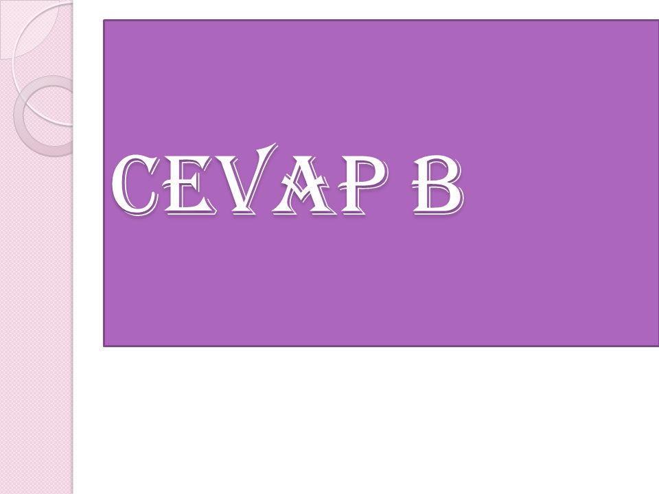 CEVAP B