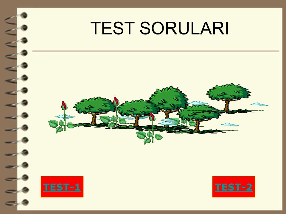 26 TEST SORULARI TEST-1TEST-2