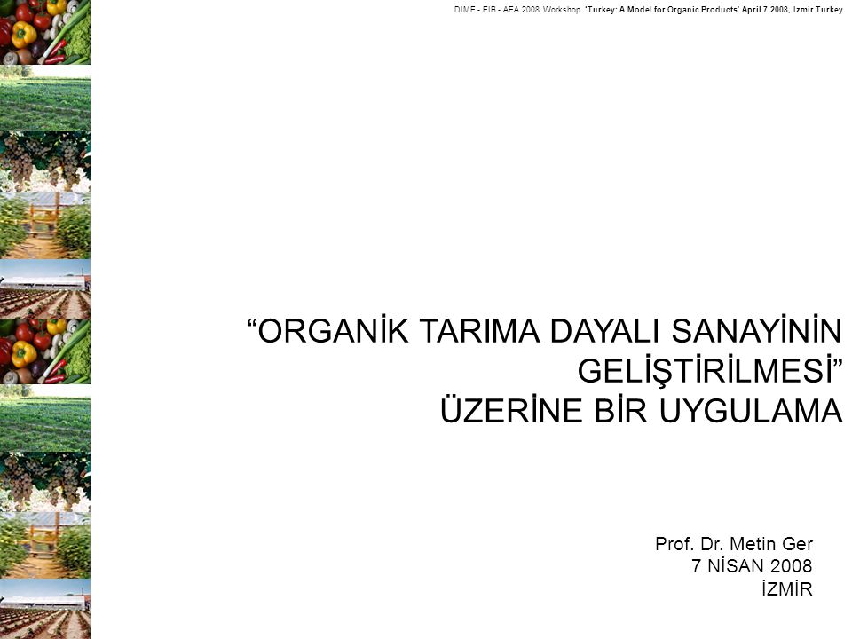 DIME - EIB - AEA 2008 Workshop ‘Turkey: A Model for Organic Products’ April , Izmir Turkey ORGANİK TARIMA DAYALI SANAYİNİN GELİŞTİRİLMESİ ÜZERİNE BİR UYGULAMA Prof.