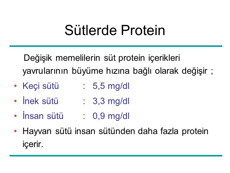 Sütlerde Protein Değişik memelilerin süt protein içerikleri yavrularının büyüme hızına bağlı olarak değişir ; Keçi sütü : 5,5 mg/dl İnek sütü: 3,3 mg/dl İnsan sütü: 0,9 mg/dl Hayvan sütü insan sütünden daha fazla protein içerir.