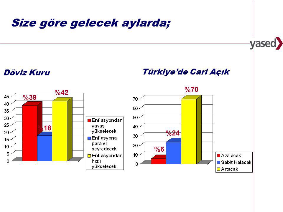7   Size göre gelecek aylarda; Döviz Kuru %70 %6 %24 Türkiye’de Cari Açık %39 %18 %42