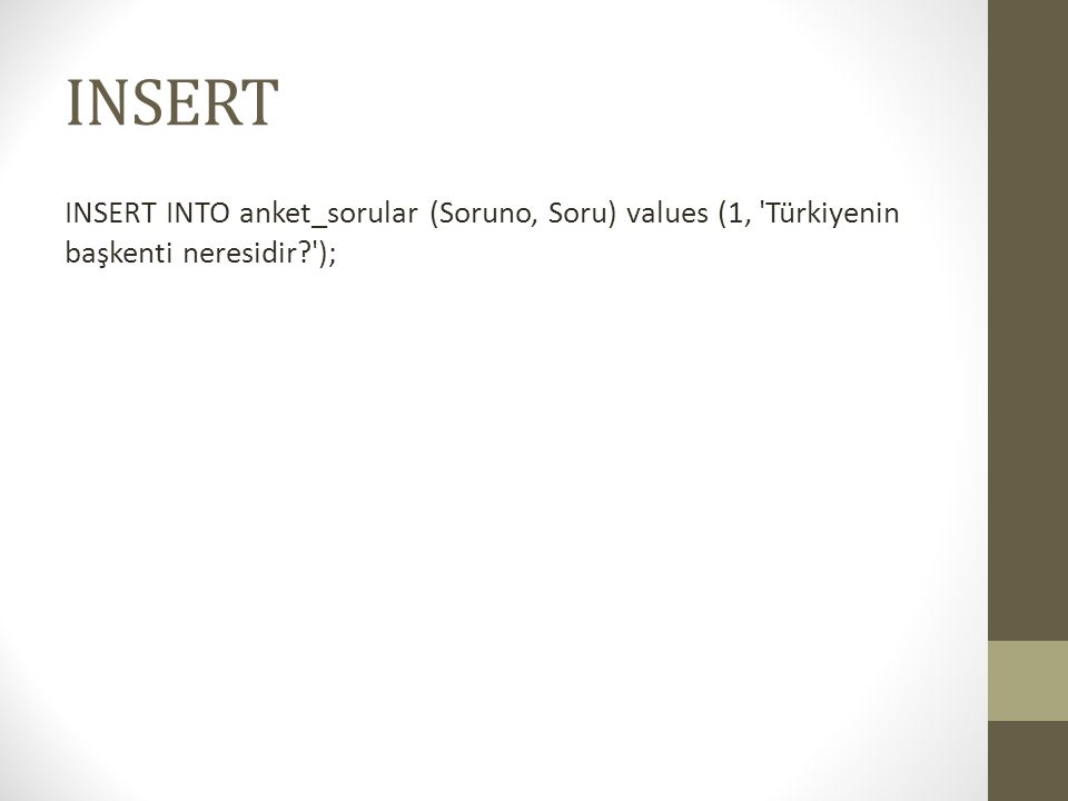 INSERT INSERT INTO anket_sorular (Soruno, Soru) values (1, Türkiyenin başkenti neresidir );