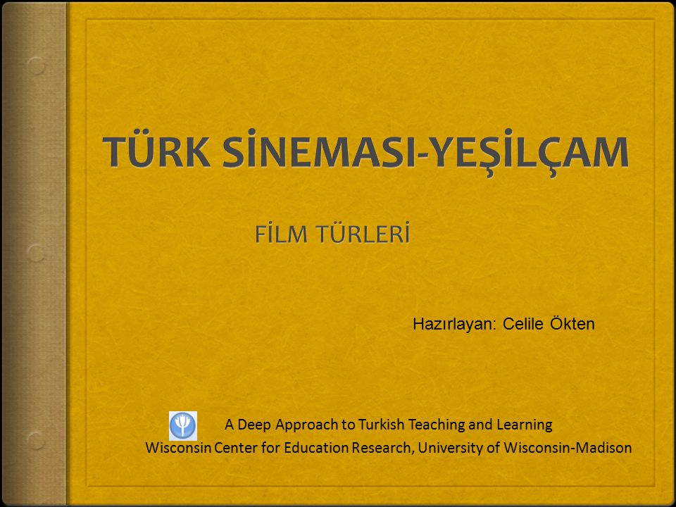 A Deep Approach to Turkish Teaching and Learning Wisconsin Center for Education Research, University of Wisconsin-Madison Hazırlayan: Celile Ökten