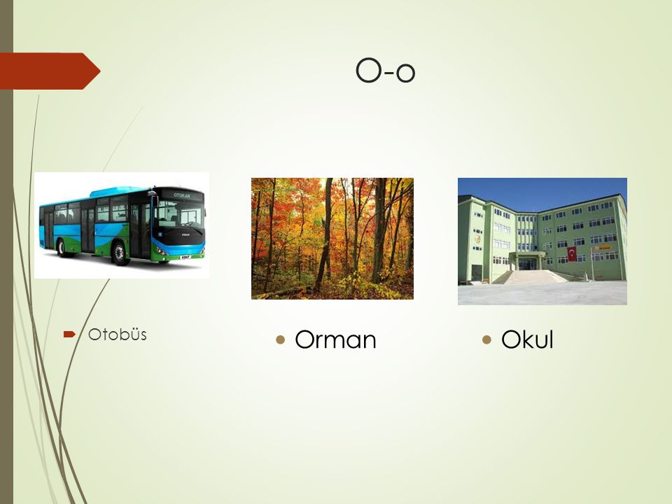 O-o  Otobüs Orman Okul