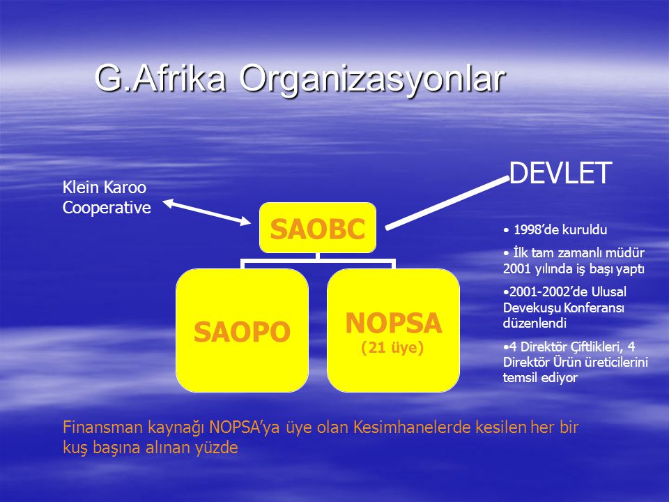 G.Afrika Organizasyonlar G.Afrika Organizasyonlar DEVLET Klein Karoo Cooperative Finansman kaynağı NOPSA’ya üye olan Kesimhanelerde kesilen her bir kuş başına alınan yüzde 1998’de kuruldu İlk tam zamanlı müdür 2001 yılında iş başı yaptı ’de Ulusal Devekuşu Konferansı düzenlendi 4 Direktör Çiftlikleri, 4 Direktör Ürün üreticilerini temsil ediyor