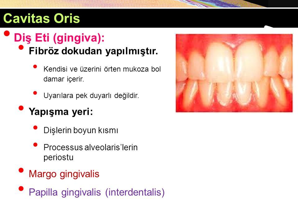 Укажите стенки cavitas oris