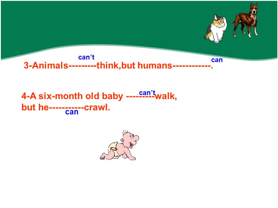 3-Animals think,but humans