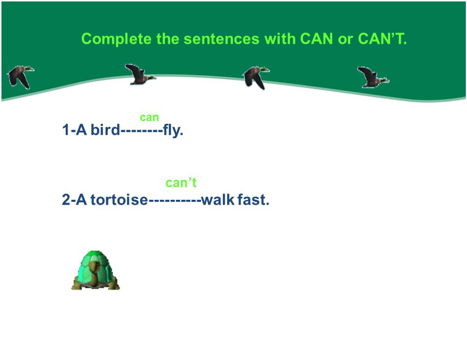 Complete the sentences with CAN or CAN’T. 1-A bird fly.