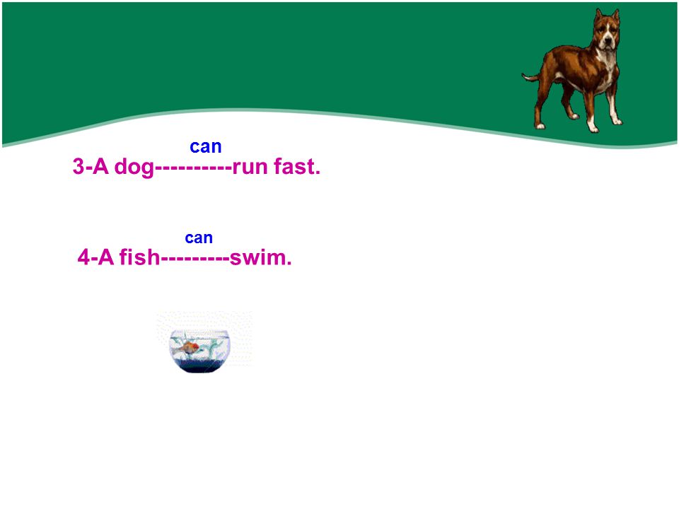 3-A dog run fast. 4-A fish swim. can