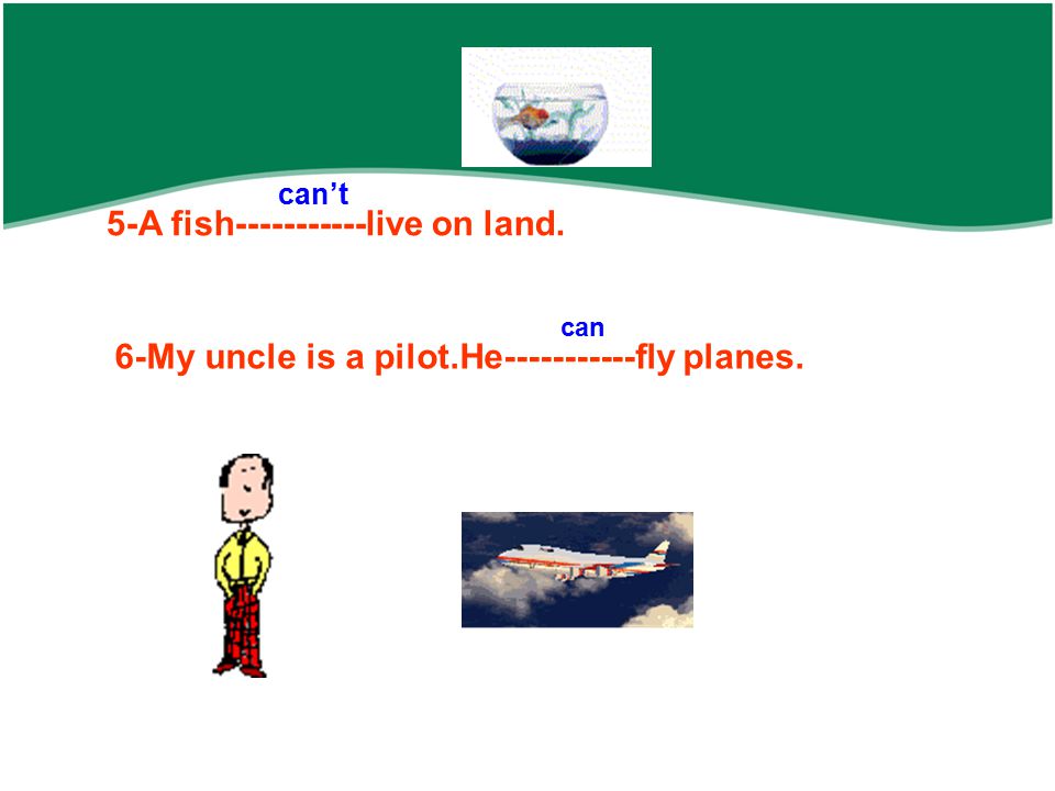 5-A fish live on land. 6-My uncle is a pilot.He fly planes. can’t can