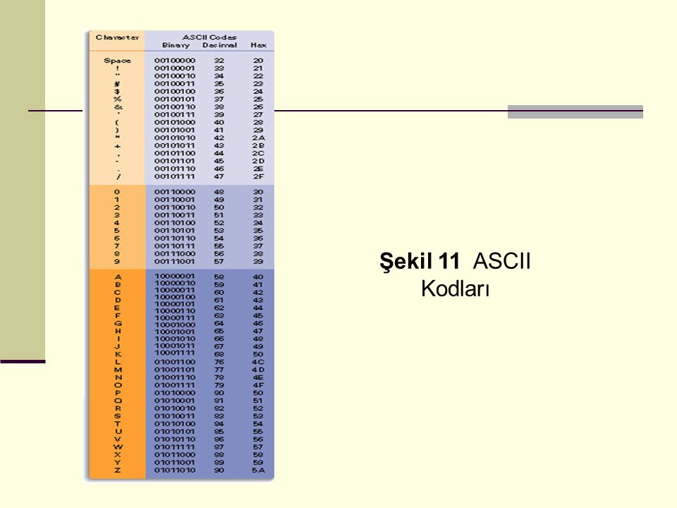 Şekil 11 ASCII Kodları