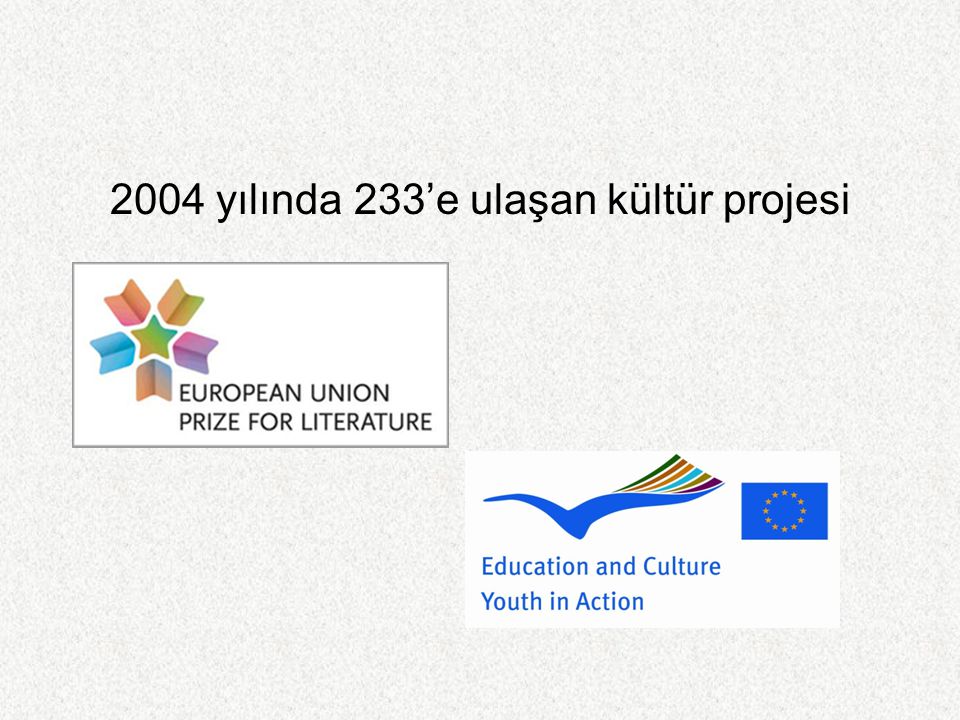 2004 yılında 233’e ulaşan kültür projesi