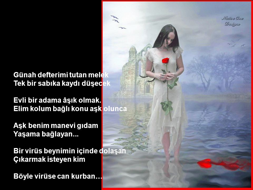 Poetry Book I Love You Mr Can Akın Author - Poet