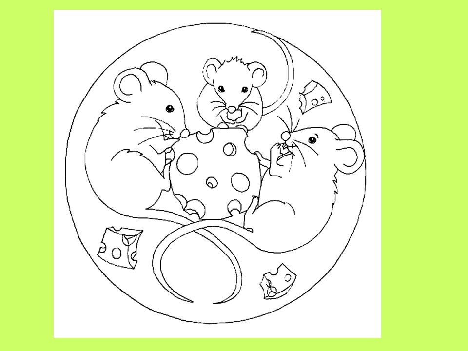 Круг мышь. Мандалы для детей животные. Раскраска Мандала для детей. Шаблон мандалы для детей. Трафареты для росписи тарелок.