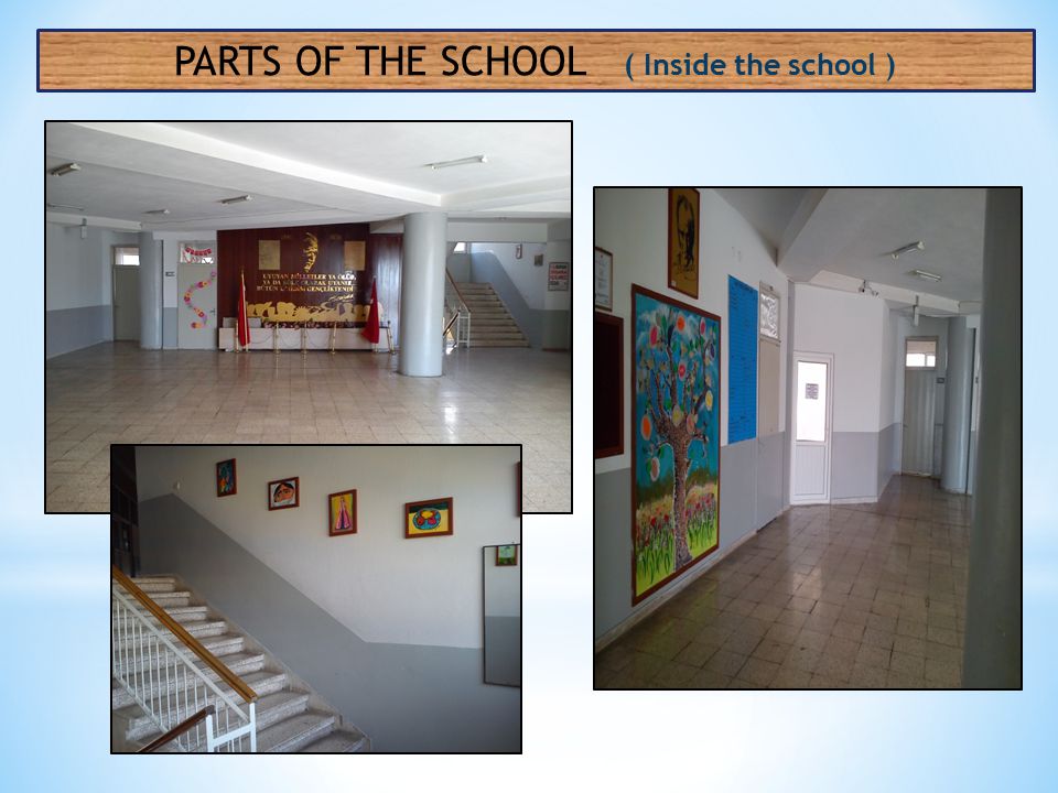 PARTS OF THE SCHOOL ( Inside the school )