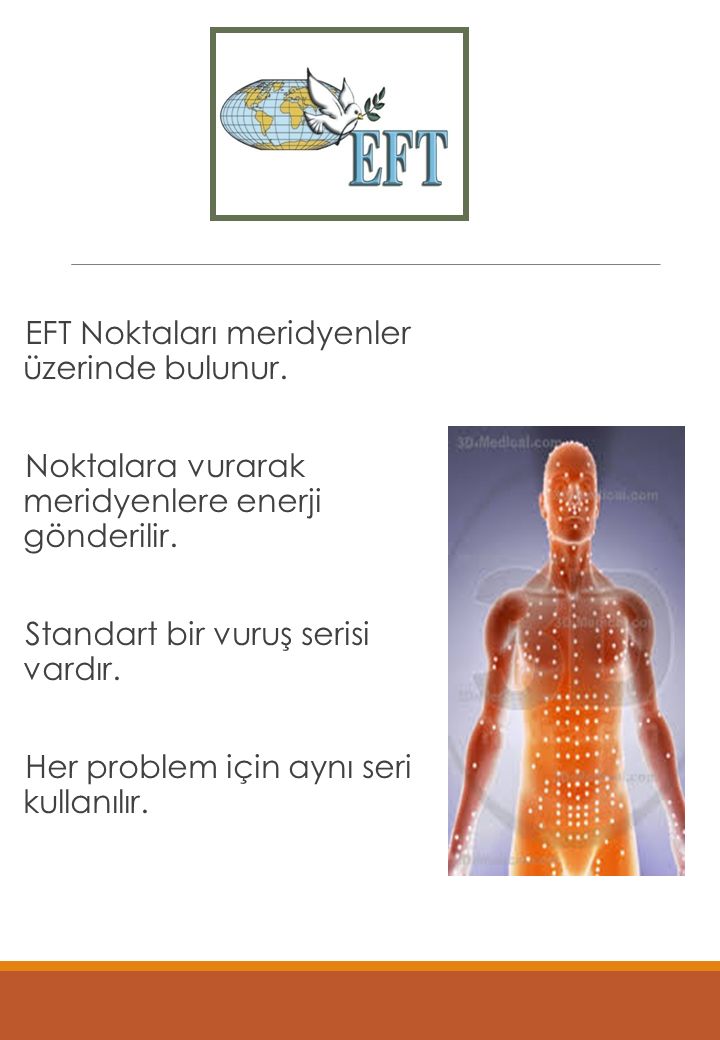 Uygulama EFT Noktaları meridyenler üzerinde bulunur.