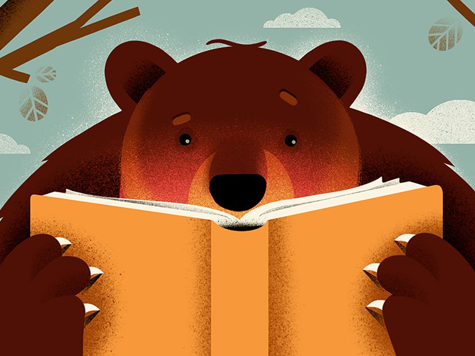 Училка и медведь читать. Медведь с книгой. Медведь с книжкой. Медведь иллюстрация. Медведь с книгой арт.