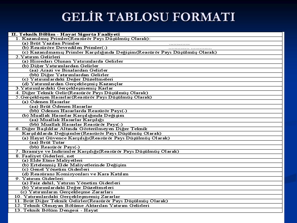 GELİR TABLOSU FORMATI © C.Öztürk 2013
