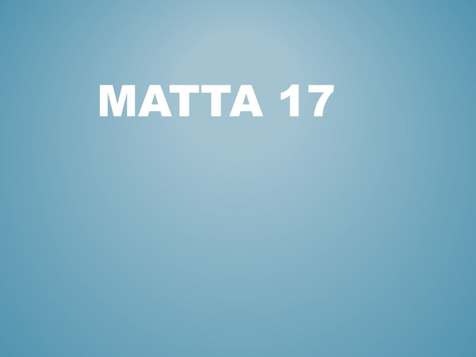 MATTA 17
