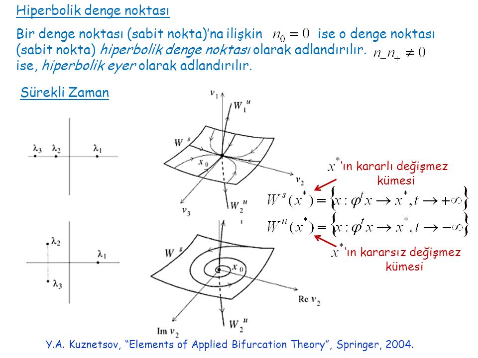 Hiperbolik denge noktası Bir denge noktası (sabit nokta)’na ilişkin ise o denge noktası (sabit nokta) hiperbolik denge noktası olarak adlandırılır.