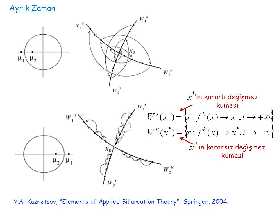 Y.A. Kuznetsov, Elements of Applied Bifurcation Theory , Springer,