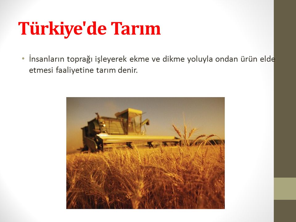 Türkiye de Tarım İnsanların toprağı işleyerek ekme ve dikme yoluyla ondan ürün elde etmesi faaliyetine tarım denir.