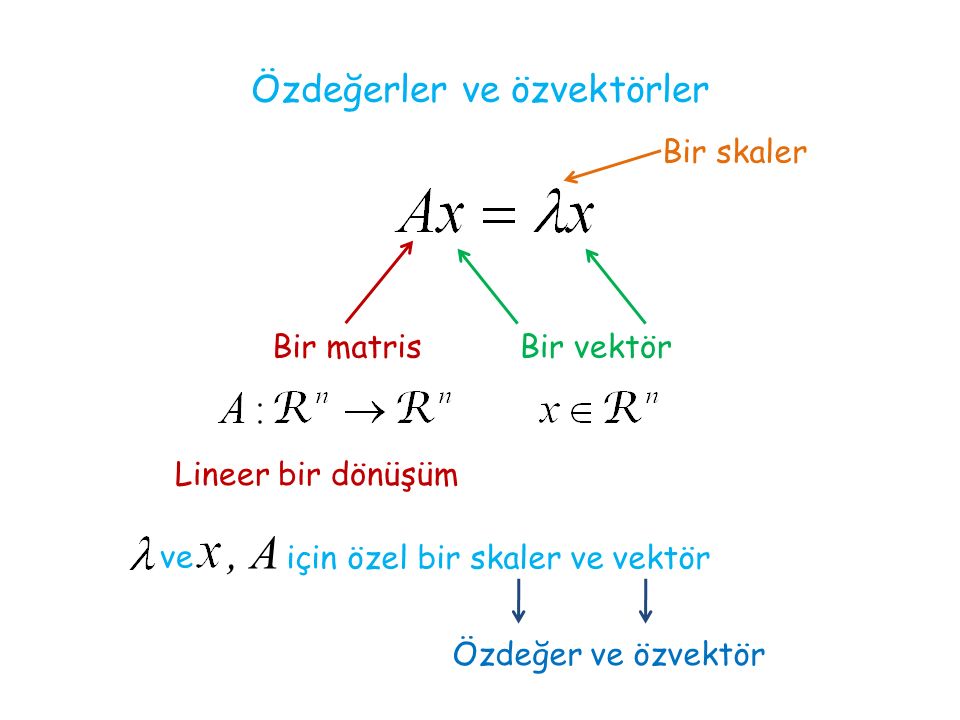 Özdeğerler ve özvektörler Bir matris Lineer bir dönüşüm Bir vektör Bir skaler ve, A için özel bir skaler ve vektör Özdeğer ve özvektör