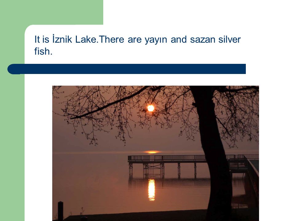 It is İznik Lake.There are yayın and sazan silver fish.