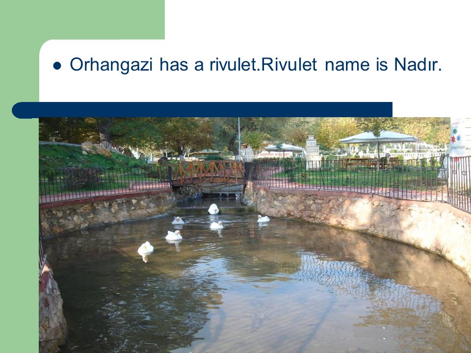 Orhangazi has a rivulet.Rivulet name is Nadır.