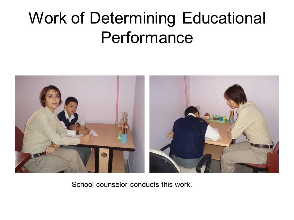 Work of Determining Educational Performance School counselor conducts this work.