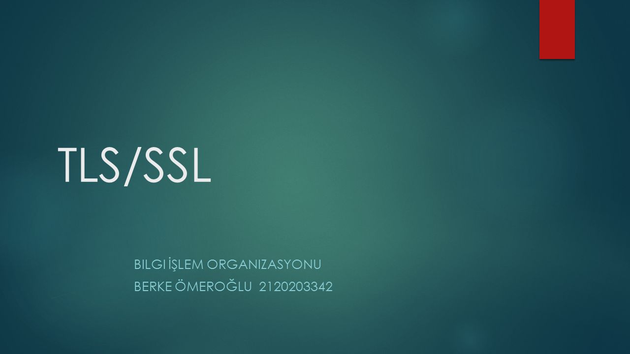 TLS/SSL BILGI İŞLEM ORGANIZASYONU BERKE ÖMEROĞLU