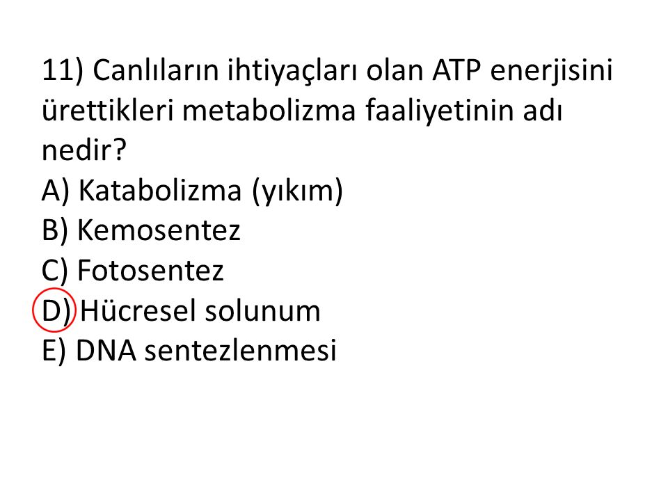 11) Canlıların ihtiyaçları olan ATP enerjisini ürettikleri metabolizma faaliyetinin adı nedir.