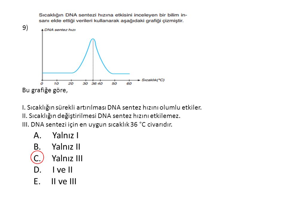Bu grafiğe göre, I. Sıcaklığın sürekli artırılması DNA sentez hızını olumlu etkiler.