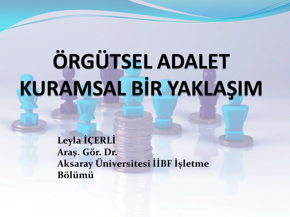 Leyla İÇERLİ Araş. Gör. Dr. Aksaray Üniversitesi İİBF İşletme Bölümü