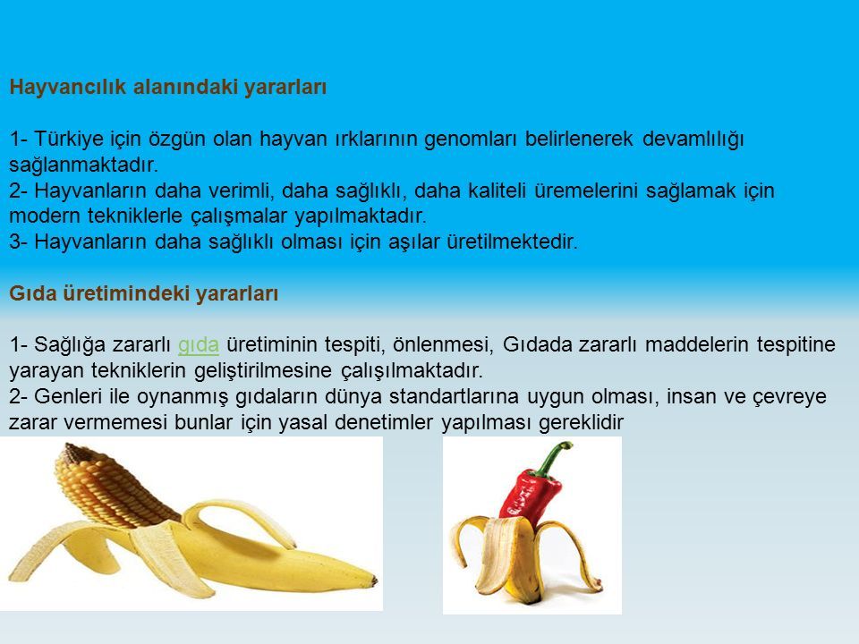 Hayvancılık alanındaki yararları 1- Türkiye için özgün olan hayvan ırklarının genomları belirlenerek devamlılığı sağlanmaktadır.