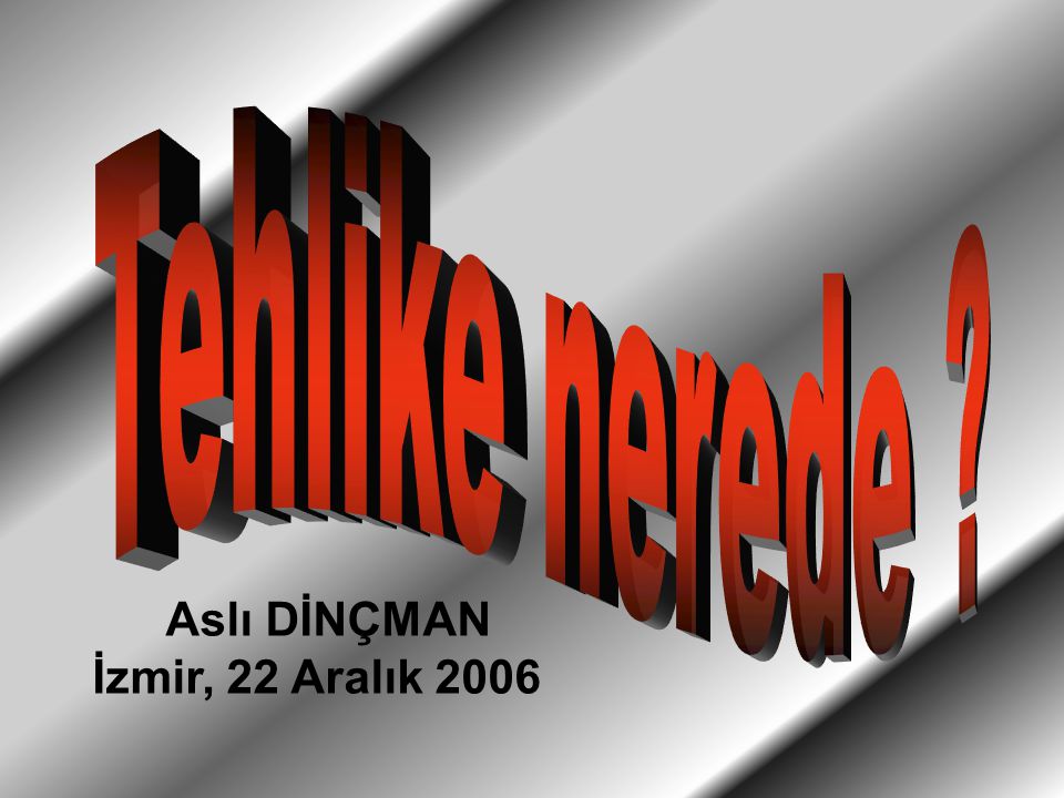 Aslı DİNÇMAN İzmir, 22 Aralık 2006